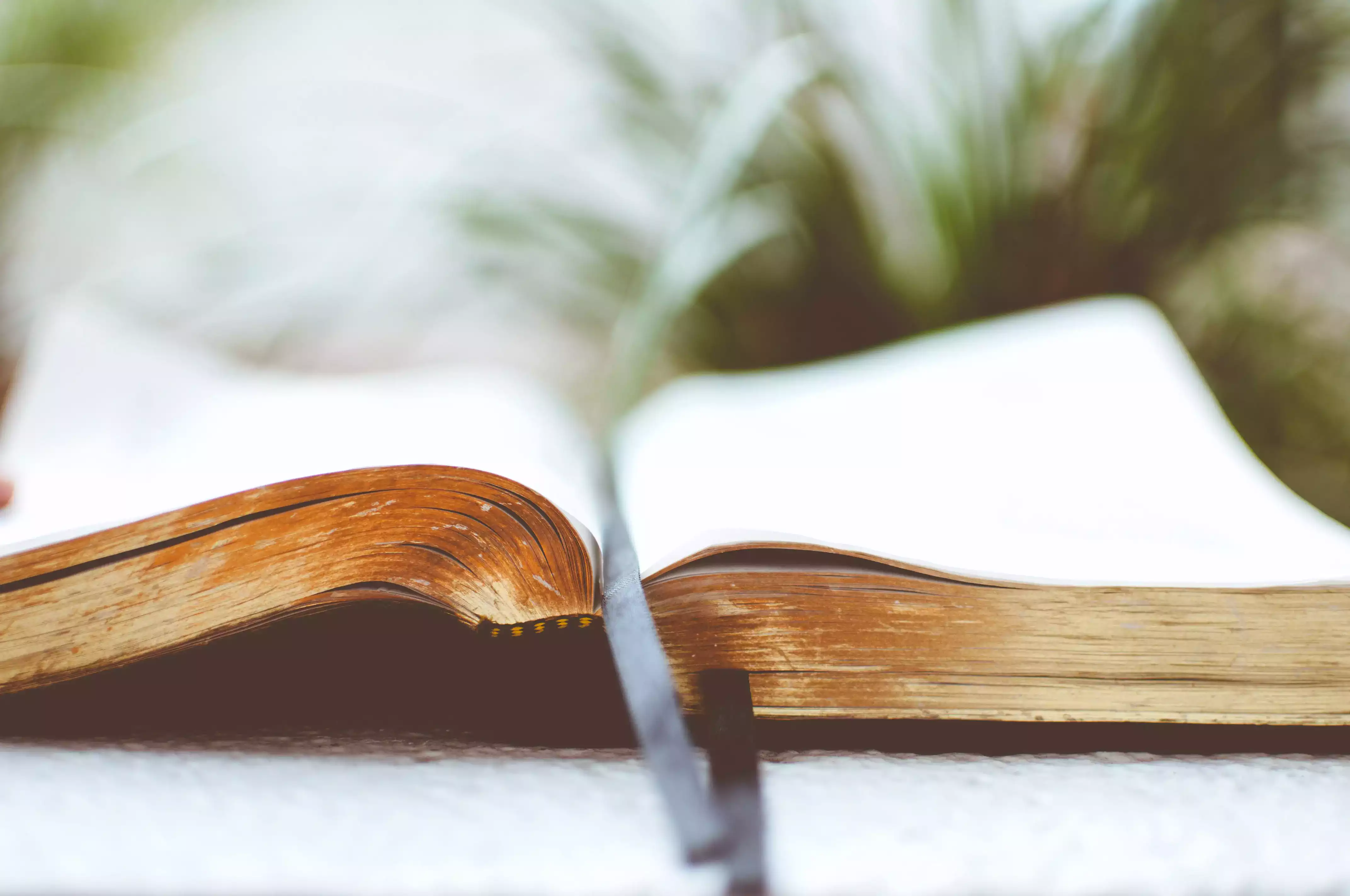 A leather-bound book opened in the middle with the top of the pages showing in gold. The book has a satiny bookmark in its open page with blurred grass in the background.